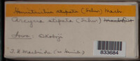 Image Associated With the Occurence